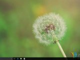 windows10desktop_0