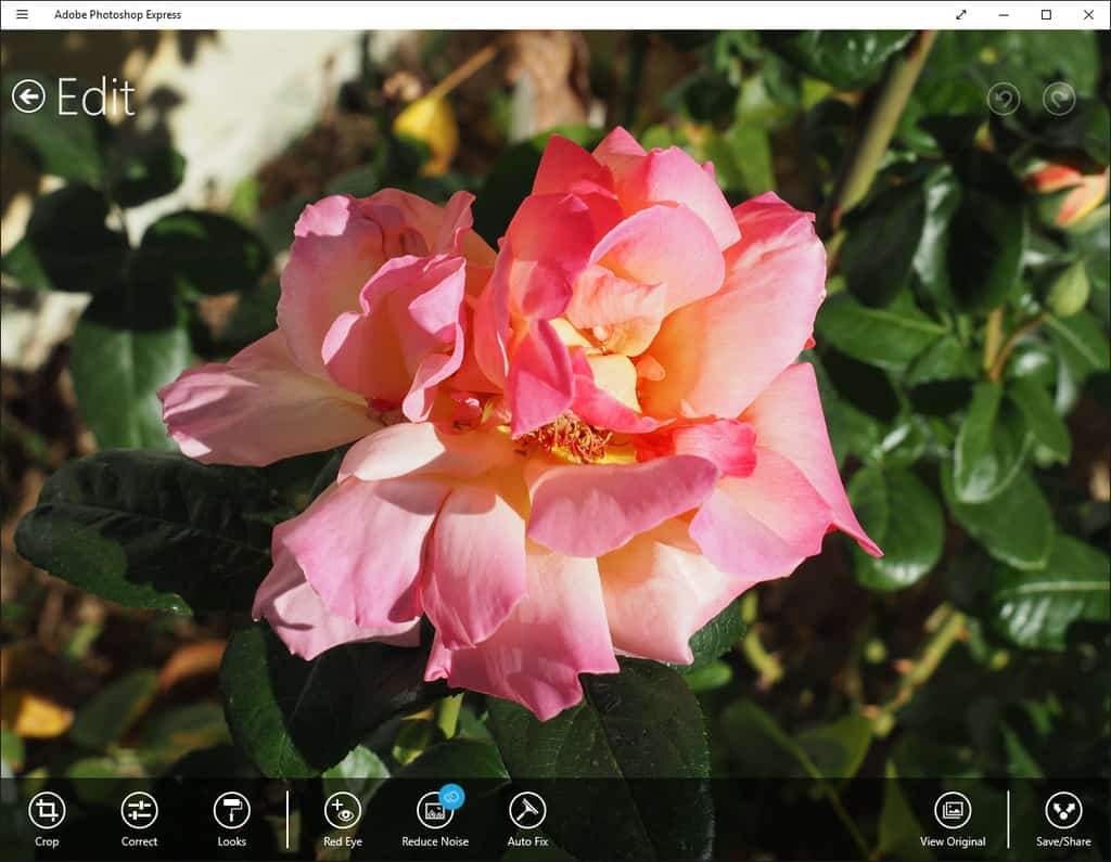 Adobe Launches Project Rome - Adobe Photoshop Express Before Login Adobe Photoshop Express before login