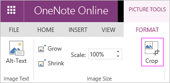 Everything that's new in OneNote for January 2016 5 OneNote crop