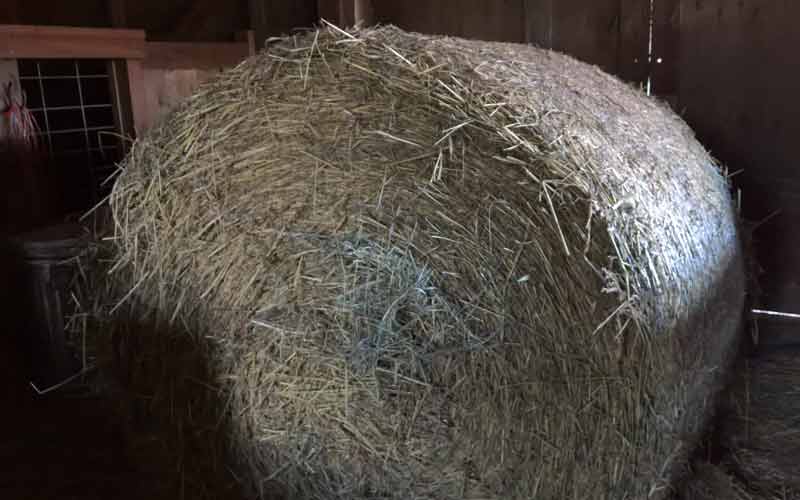 Lumia 950 Xl Second Impressions: Was It Worth It? - Hay No Flash Bale of hay in a dark barn