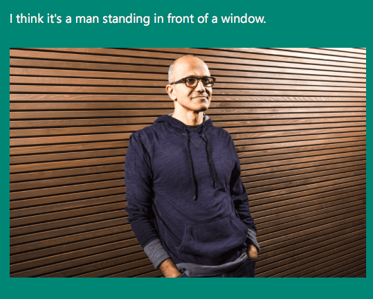 It's an unedited picture taken from Microsoft's website.