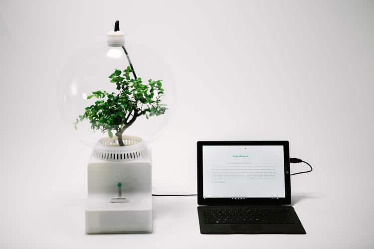 3060347-slide-s-1-microsoft-teaches-plants-to-talk-with-project-florence