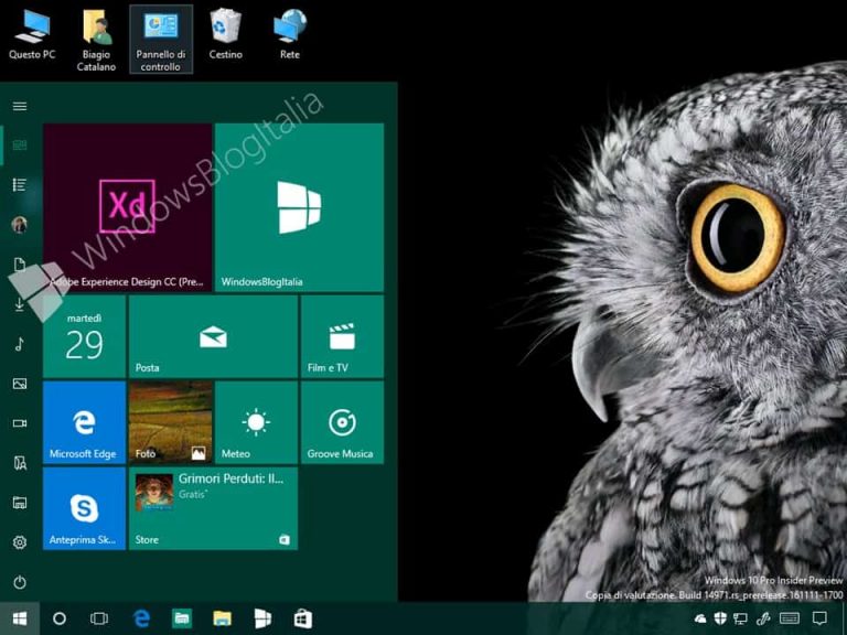 adobe xd windows 10 download free