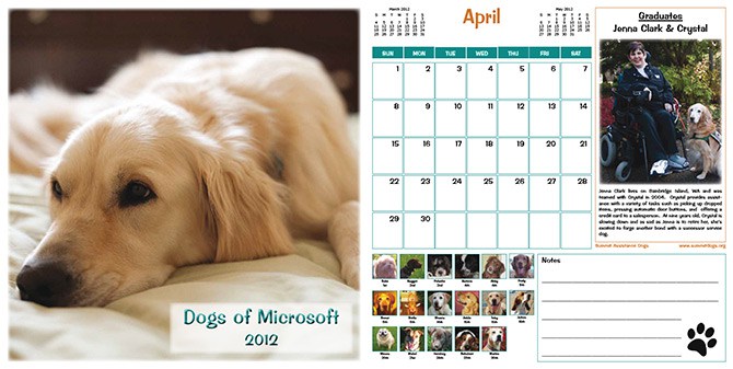 microsofts cats dogs of microsoft calendars are popular microsoft calanders