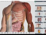 Award-winning medical app, Complete Anatomy, heads to the Windows Store - OnMSFT.com - March 15, 2017