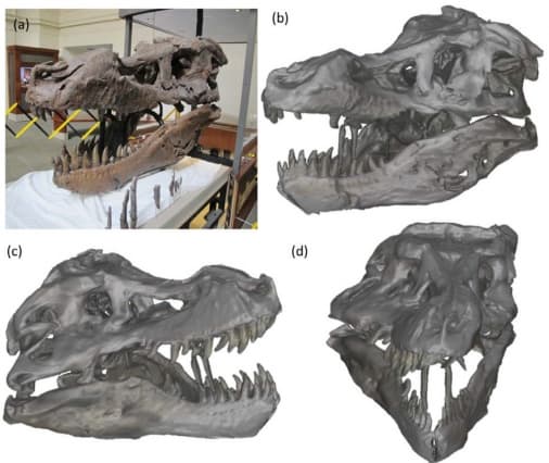 MIT ScanningTRex 2 MIT ScanningTRex 2