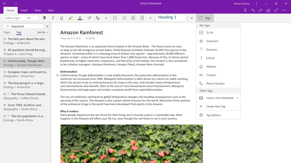OneNote for Windows 10 to replace OneNote desktop in Office 2019 later this year, new features coming - OnMSFT.com - April 18, 2018