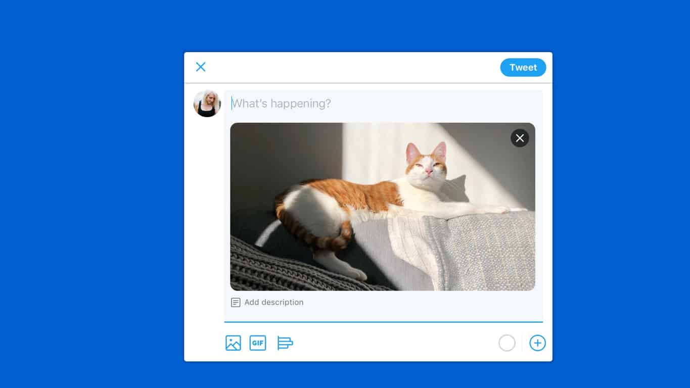 how to download twitter videos windows 10