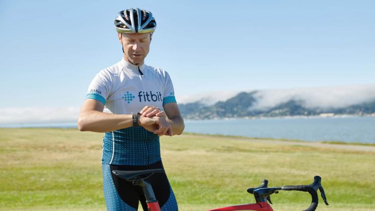 fitbit owner