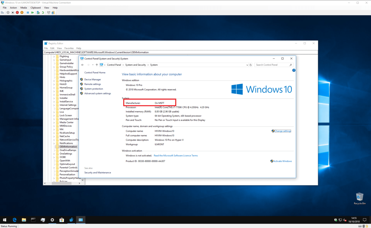 Screenshot of Windows 10 System information with custom details