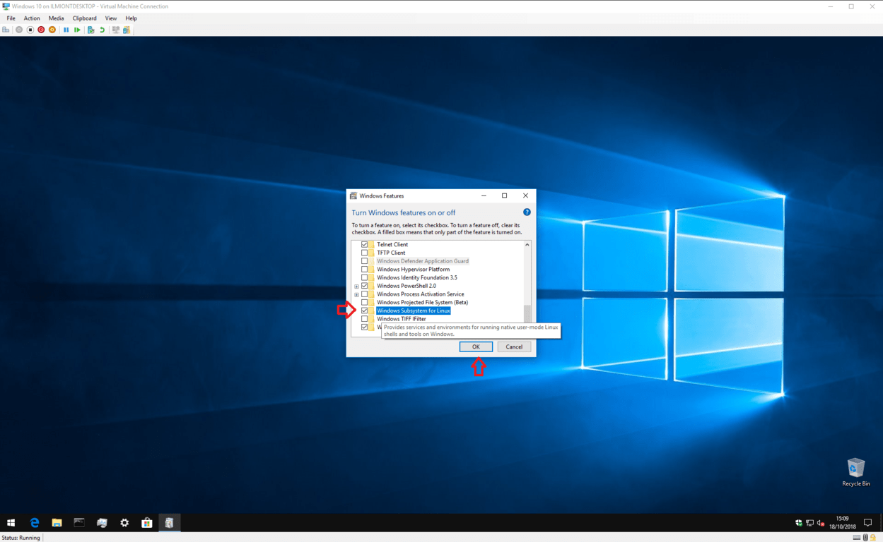 Screenshot of enabling Windows Subsystem for Linux