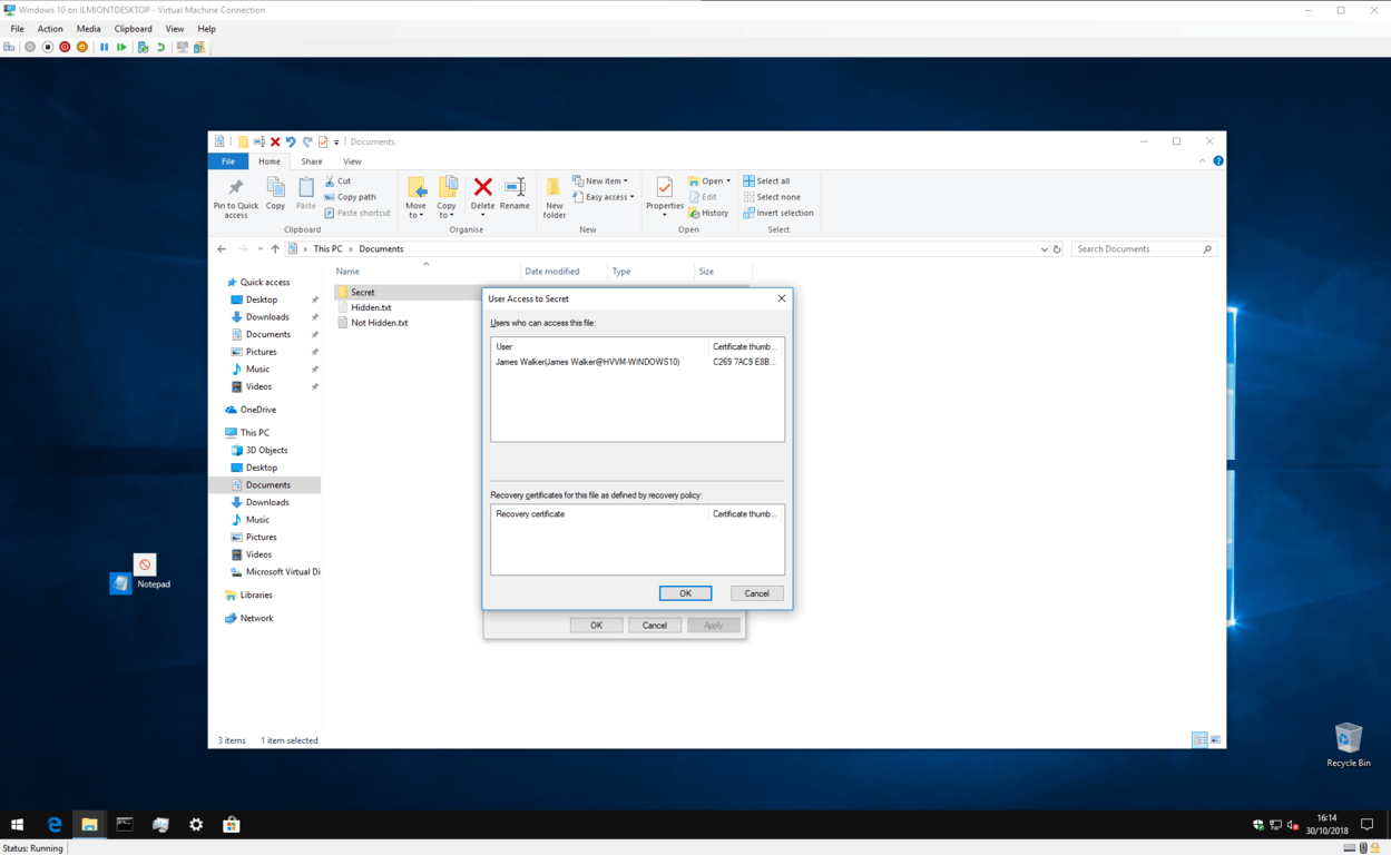 File encryption details window