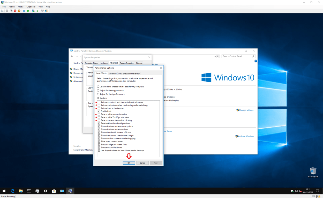 Screenshot of Performance Options panel on Windows 10