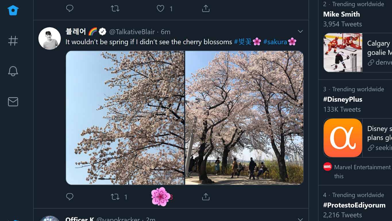 Sakura animation in the Windows 10 Twitter app