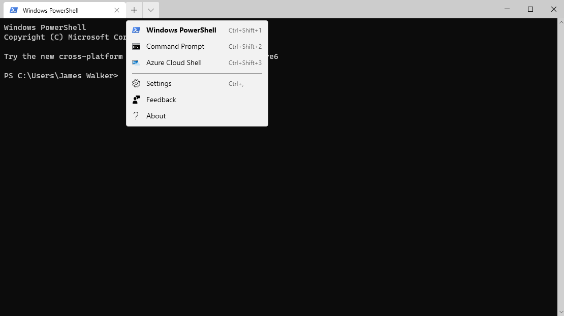 Screenshot of Windows Terminal in Windows 10