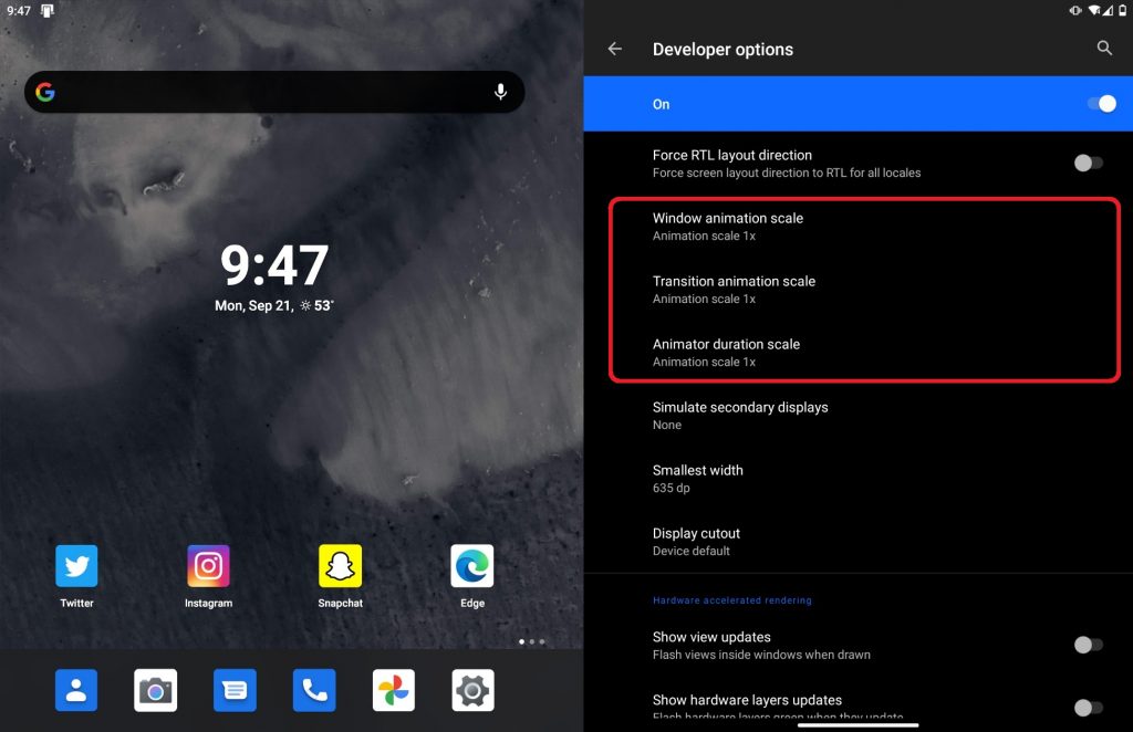 Duo developer options
