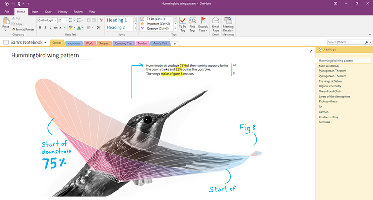 images for microsoft onenote 2016