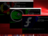 Windows Linux Subsystem
