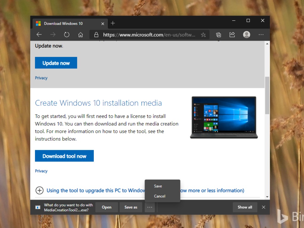 microsoft edge download file