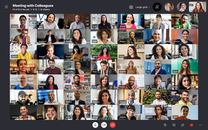 Skype Large Grid View