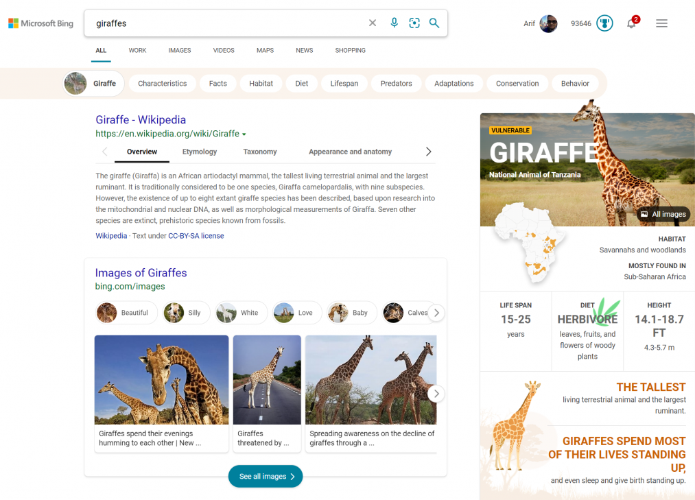 Bing Giraffe