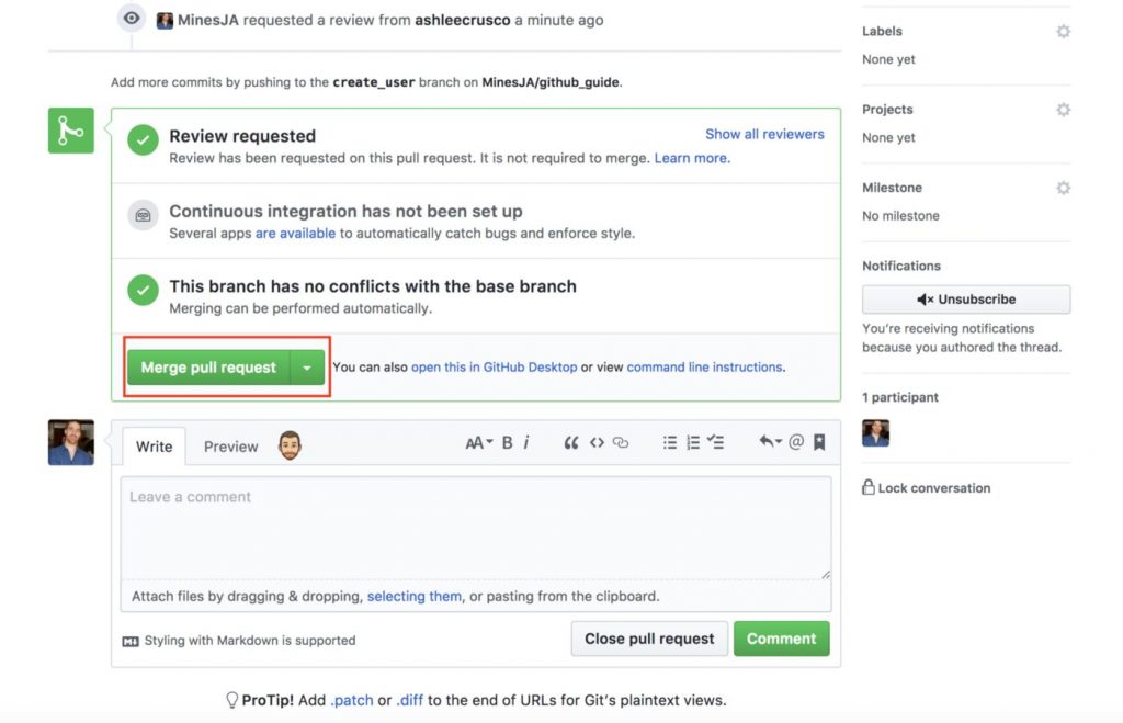 Github Merge Pull Request