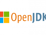 Microsoft Openjdk