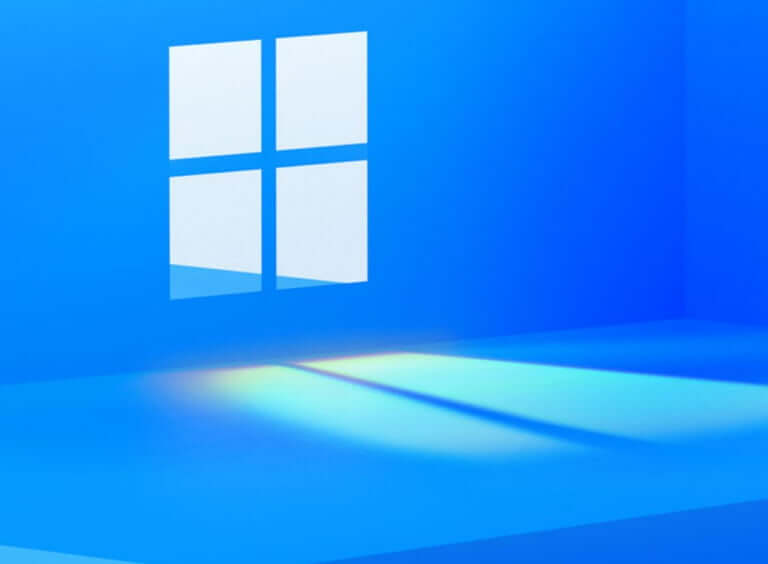 Windows 10/11 Logo