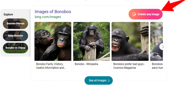bing image creator search
