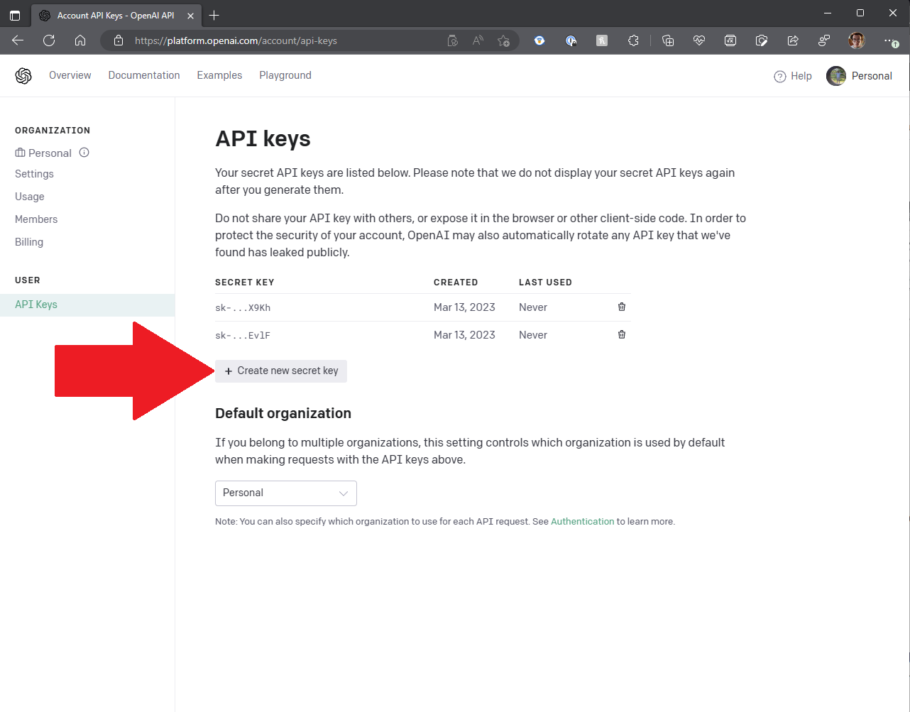 openai api