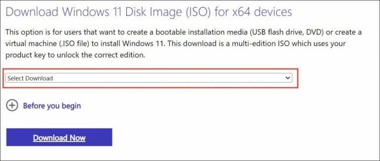 Select Windows 11 Type To Download